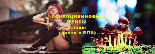 Альфа ПВП Беломорск