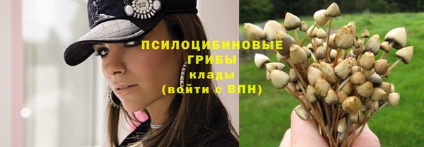 Альфа ПВП Беломорск