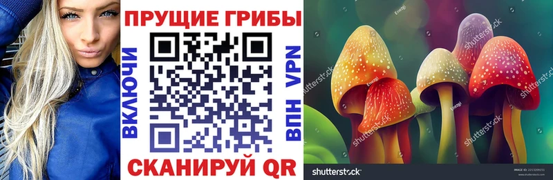 Галлюциногенные грибы Magic Shrooms  omg ONION  Жиздра 